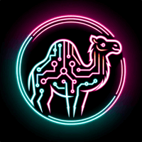 Digital Camel Ltd