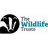 The Wildlife Trust