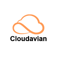 Cloudavian