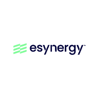 E-synergy Solutions