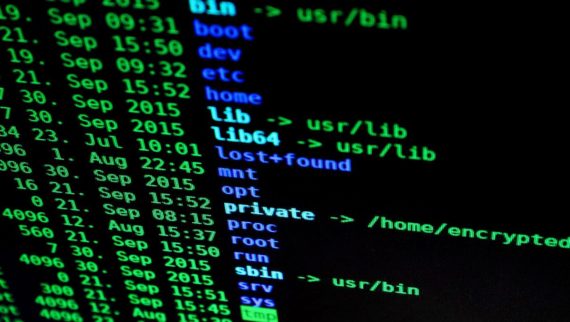 Cybersecurity how skilled is the tech workforce